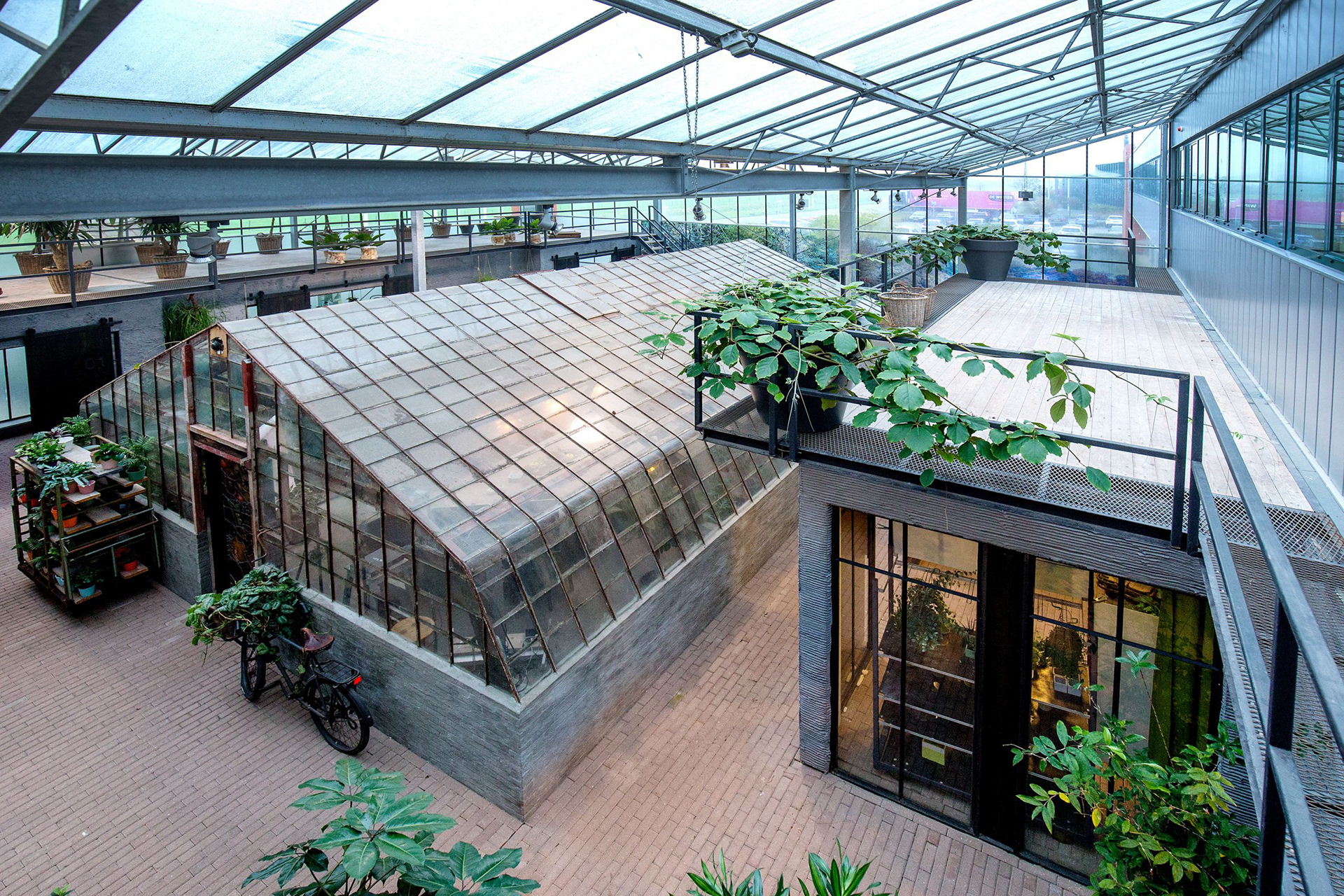 Lichte hal met glazen kas, dakterras en volop groene planten bij HortiFlora